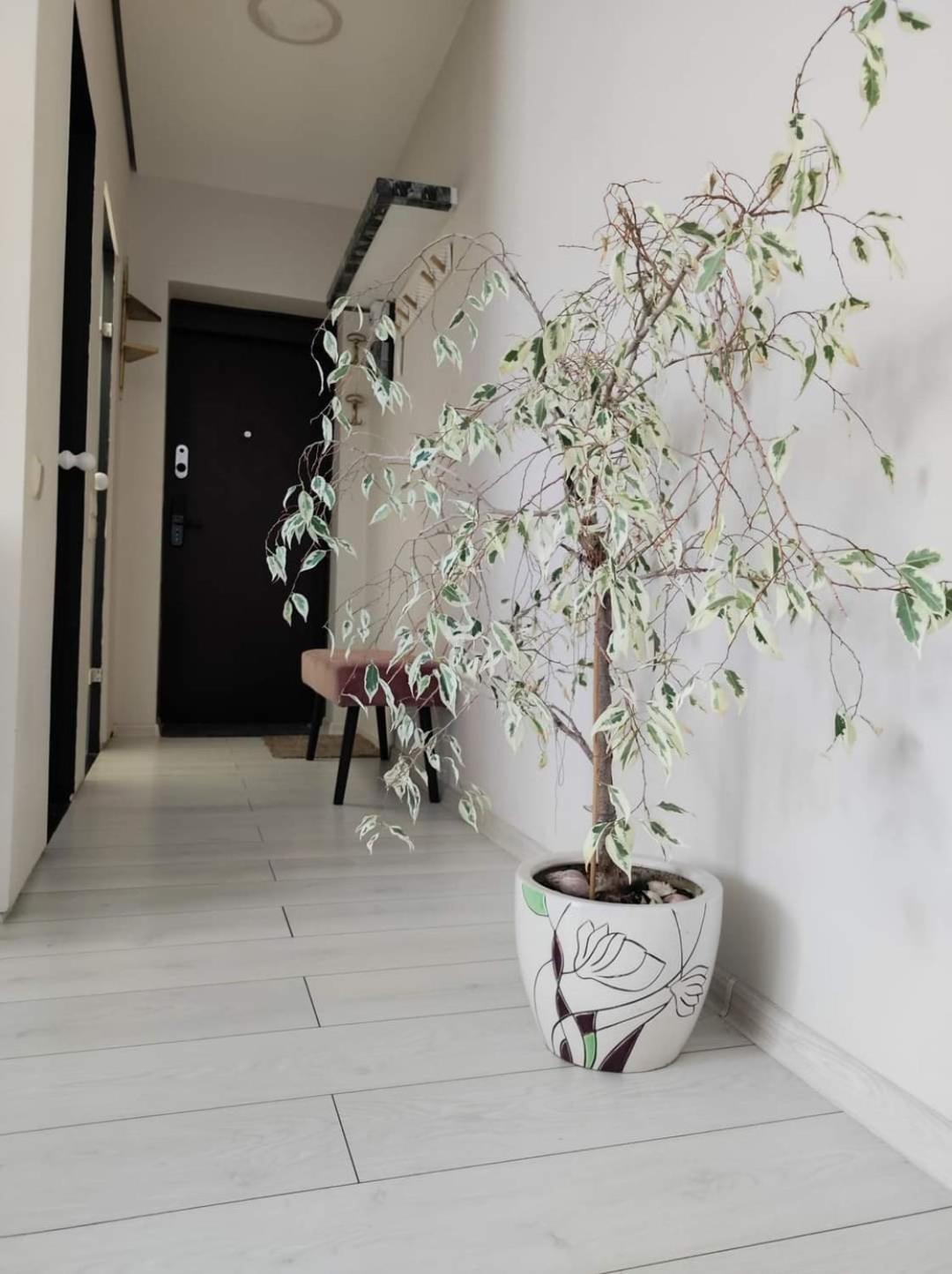 Apartamentai Miesto Centre Σιαουλιάι Εξωτερικό φωτογραφία